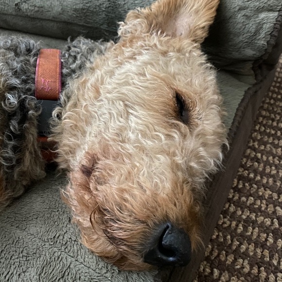 Meet your Posher, Courtney - Picture 1 of 1